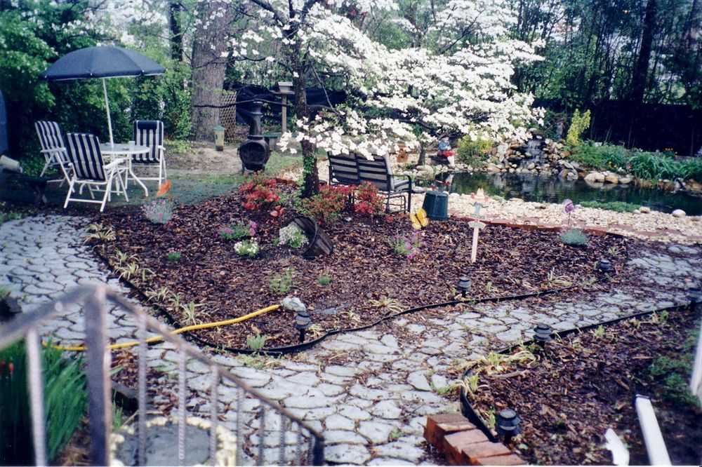 The Twin Magnolias Bed & Breakfast Roanoke Rapids Extérieur photo